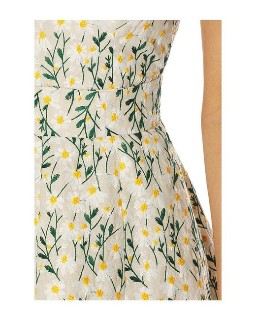 Clea Multicolor Rue Mini Dress