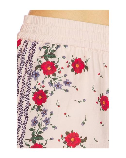 Cami NYC Multicolor Oslo Silk Cotton Short