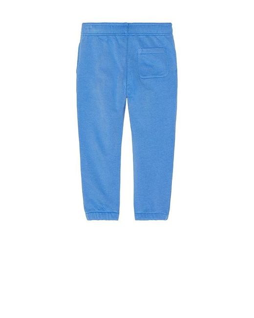 Polo Ralph Lauren Polo Logo グラフィックジョガーパンツ Blue