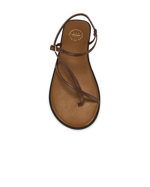 Atp Atelier Brown Capri Sandal
