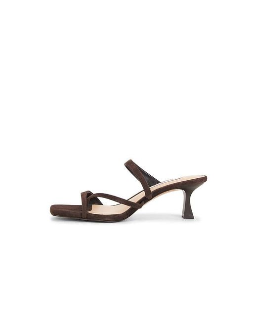 Steve Madden Multicolor Ajay Sandal