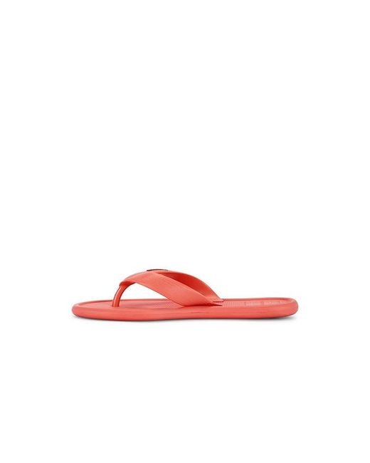 Havaianas Red Sandale Puffed Up