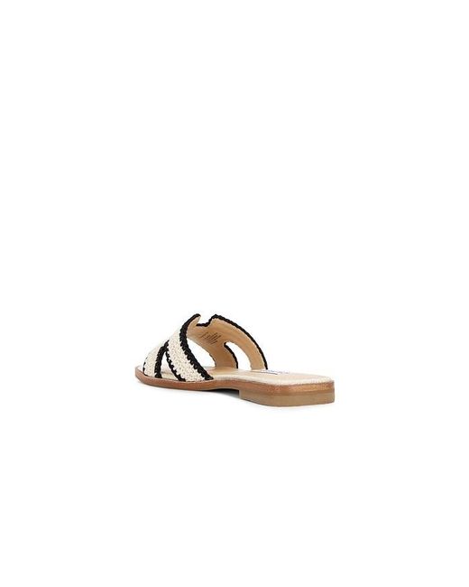 Steve Madden White Hadyn-M Sandal