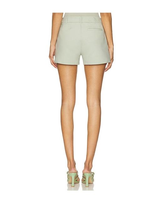 Commando Multicolor Shorts