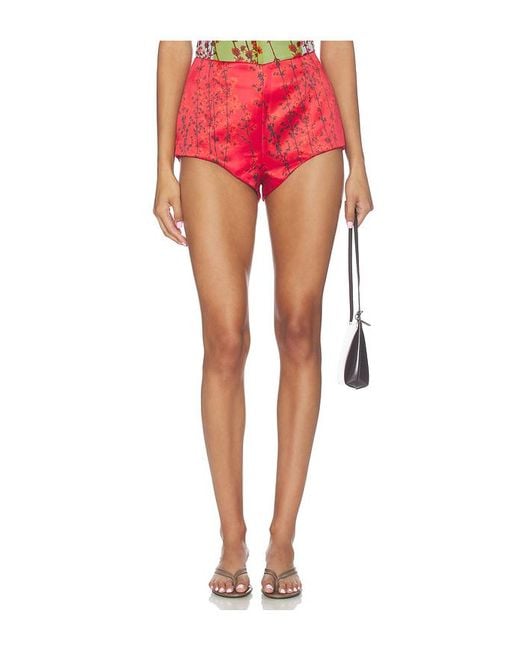 Muma World Red Aka Sukara Hot Shorts