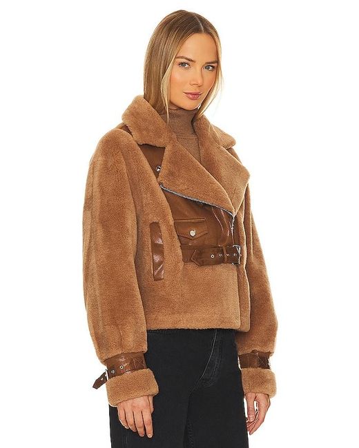 Lamarque Brown Elody Jacket