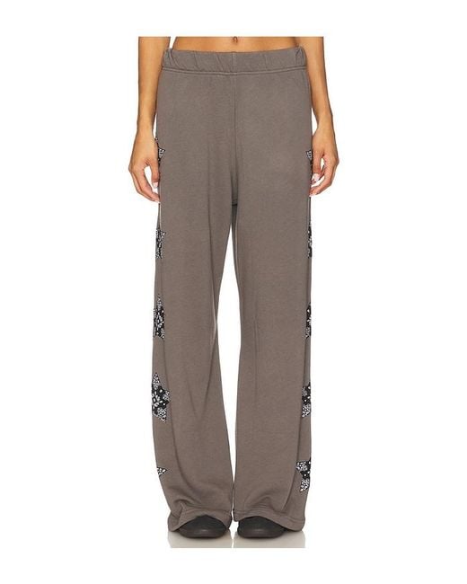 Lauren Moshi Brown Horse Wide Leg Pant