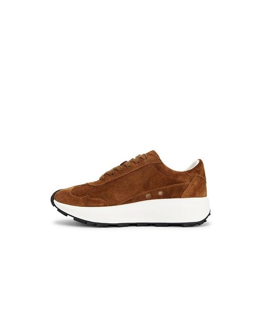 Tory Burch Brown Tory Sneaker