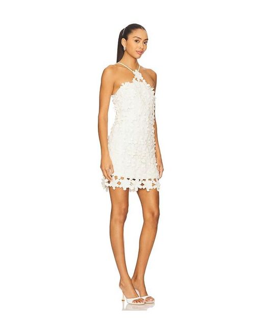 Alexis Lily ドレス White