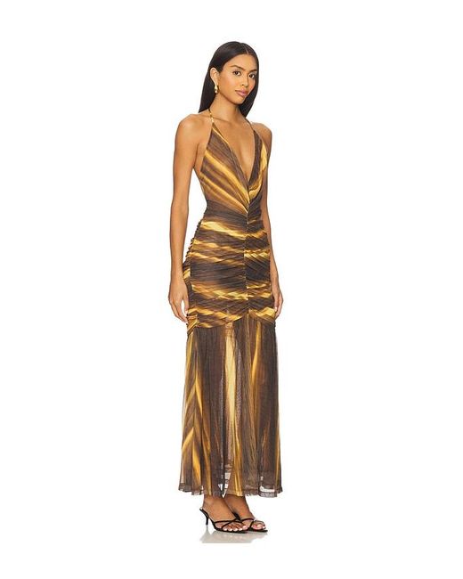 Bardot Multicolor Aries Mesh Maxi Dress