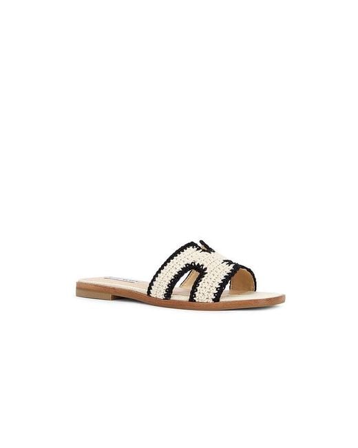 Steve Madden White Hadyn-M Sandal
