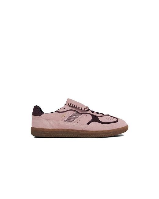 Alohas Multicolor Tb.490 Club Suede Sneaker