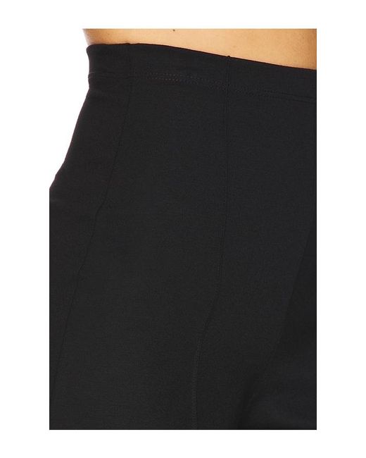 Ripley Rader Black Ponte Knit Straight Leg Pant