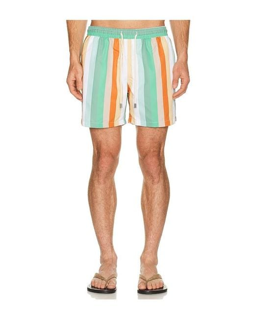 ARRELS Barcelona Multicolor Classic Swim Shorts for men