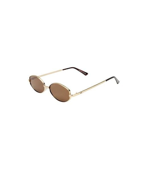 Aire Multicolor Objective Sunglasses