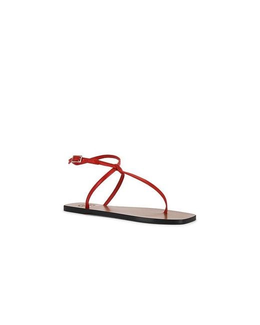 Atp Atelier Brown Alassio Sandal