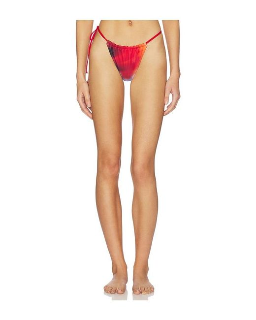Feners Multicolor Bikini Bottom