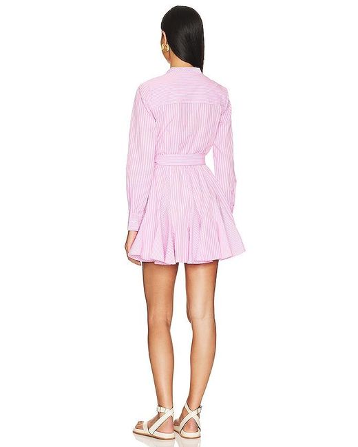 Steve Madden Pink Lorelei Dress