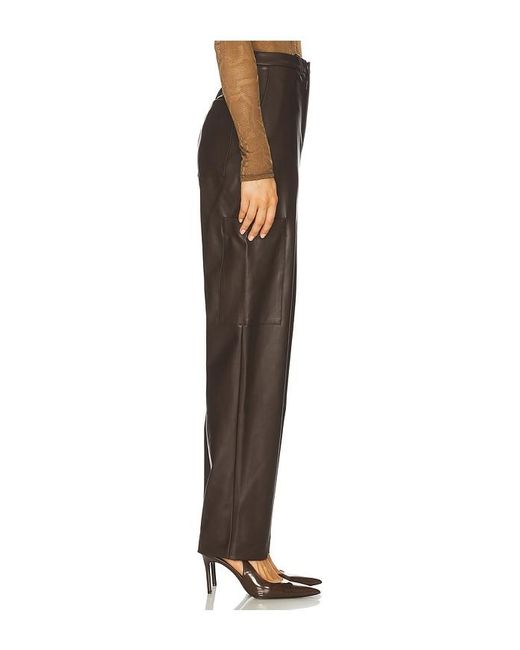 LAPOINTE Brown Hose