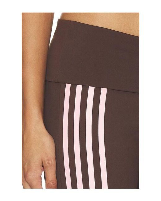Lioness Brown Layover Pant