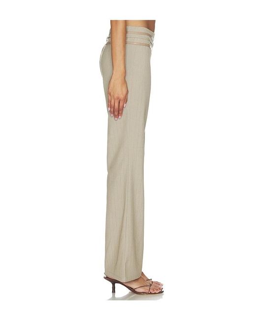 Tiger Mist Natural Fedra Pant