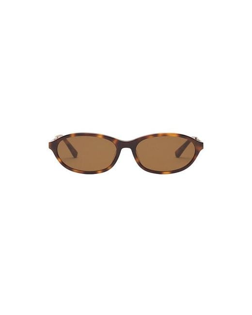 Eddera Brown Lucia Sunglasses