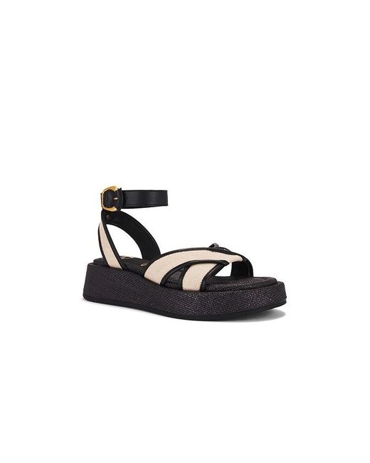 Sandalia Nylie En Color Negro Talla En Sam Edelman de color Black