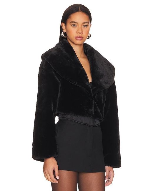 Lamarque Black Danika Cropped Jacket