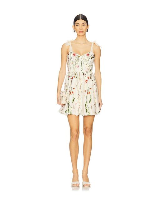 Steve Madden White Kleid Kavala