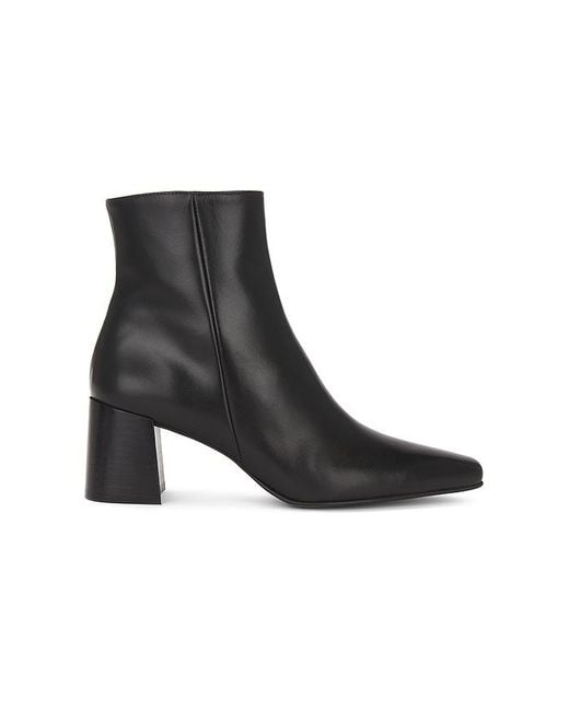 Flattered Black Boot Gill