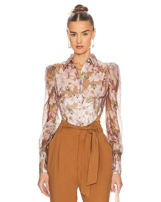 Bardot Brown Valentina Corset Top