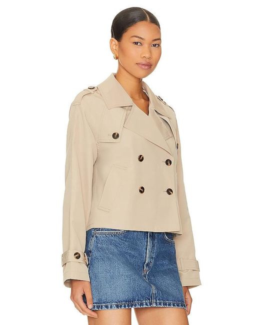 Steve Madden Blue Sirus Jacket