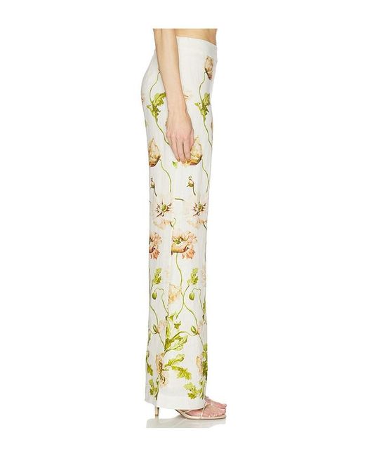 Cara Cara Yellow Sunflower Pant