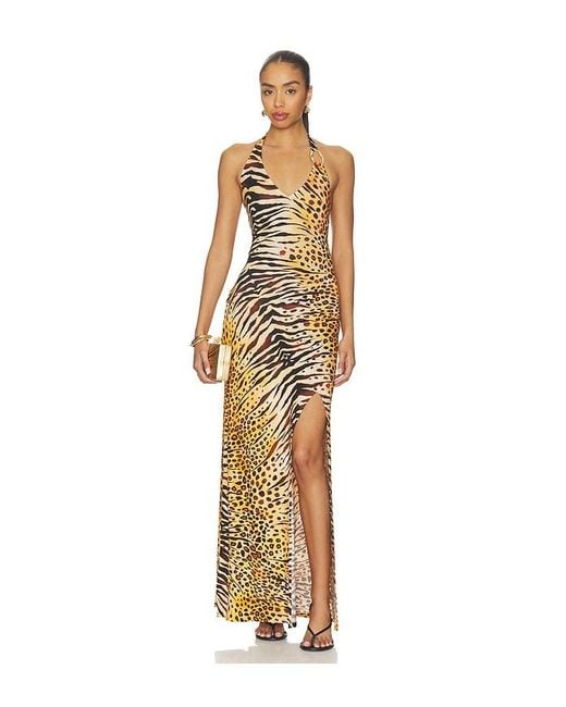 Luli Fama Multicolor Tigressa Ring Halter Long Dress