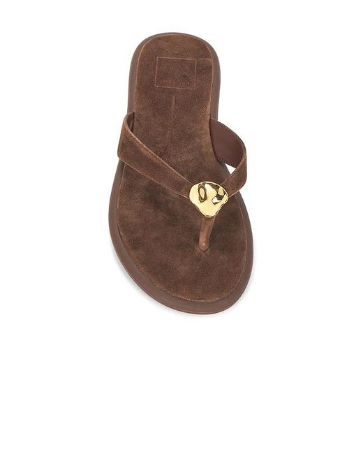 Dolce Vita Brown Jaina Sandal