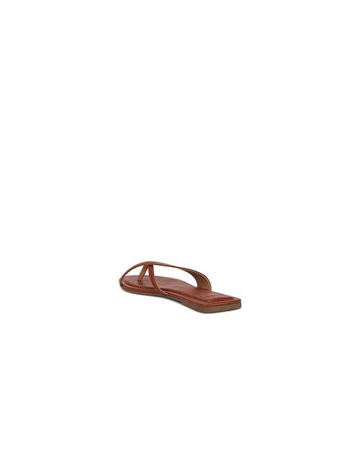 Dolce Vita Brown Lenex Thong Sandal
