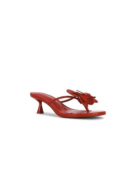 Cult Gaia Multicolor Addison Sandal