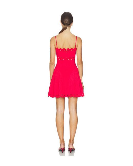 Saylor Red Andrea Dress