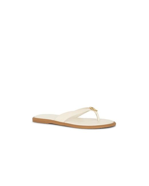 Dolce Vita White Jaina Sandal