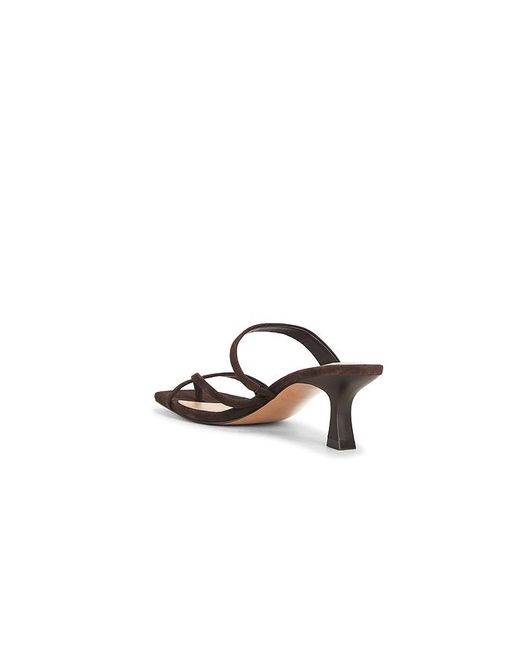 Steve Madden Multicolor Ajay Sandal