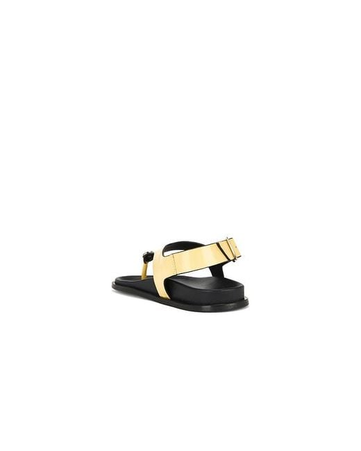 Alohas Multicolor Harbor Onix Sandals