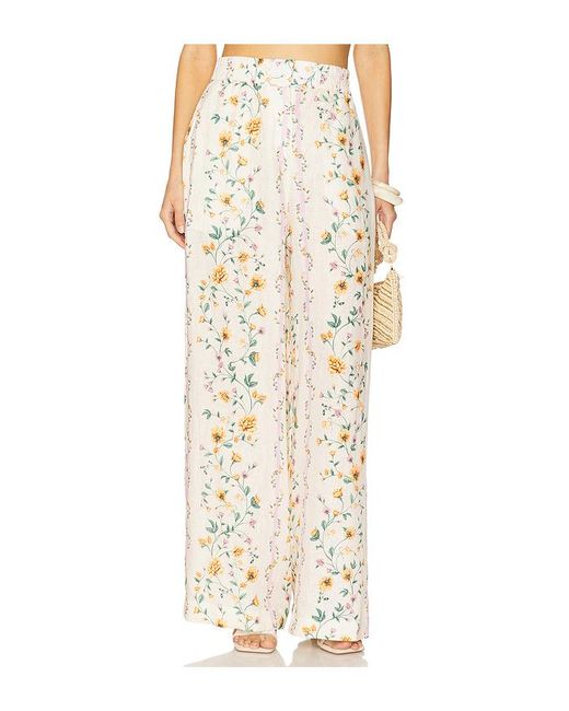 Agua Bendita Natural Hose Totoa Chinesis