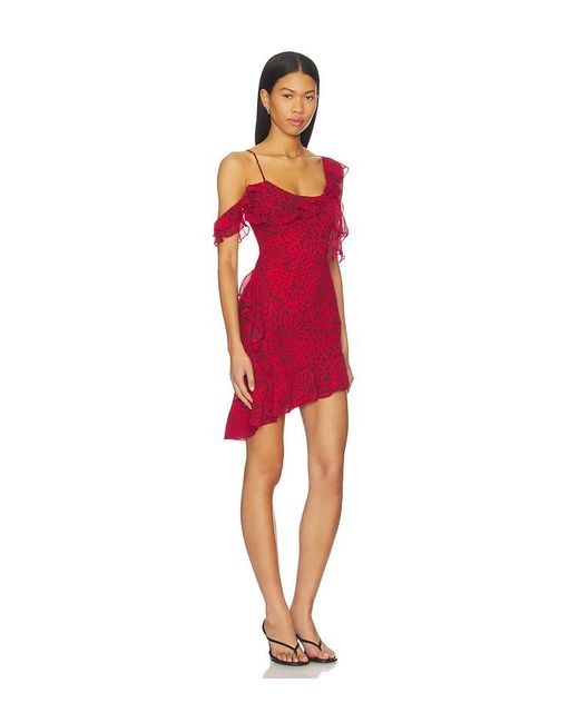 leopard satin dress Cielo Leopard Satin Midi Dress  Two Cumberland