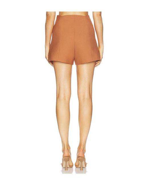 Alexis Multicolor Xander Shorts