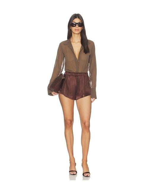 Lamarque Brown Melina Short
