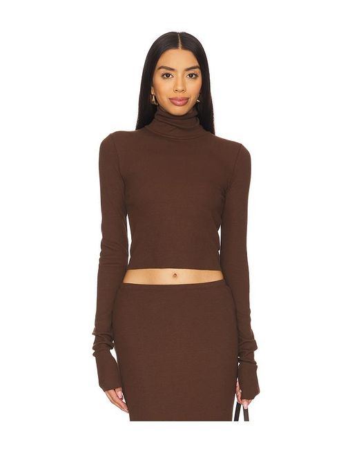 ÉTERNE Brown Cropped Fitted Turtleneck Top