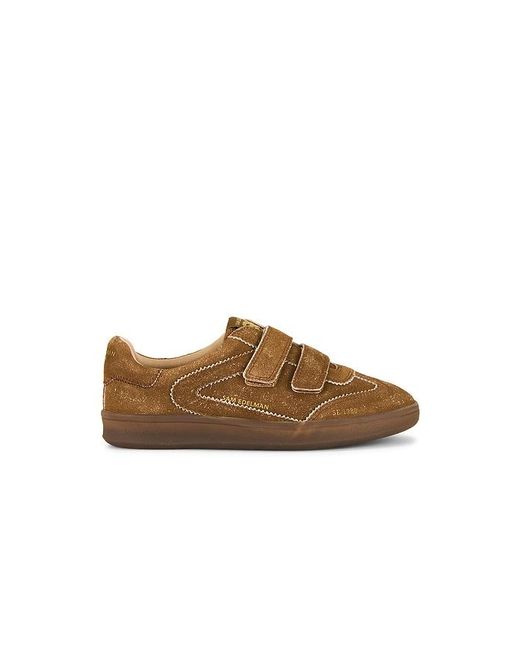 Sam Edelman Brown Talia Sneaker