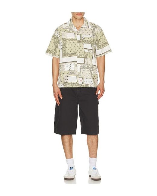 Dickies Black Worn for men
