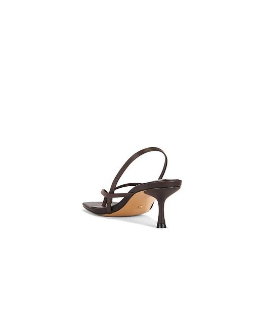 Raye Brown Puce Sandal