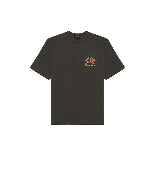 Stan Ray Black Pepper Tee for men